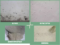 九五至尊·(中国区)有限公司官网
