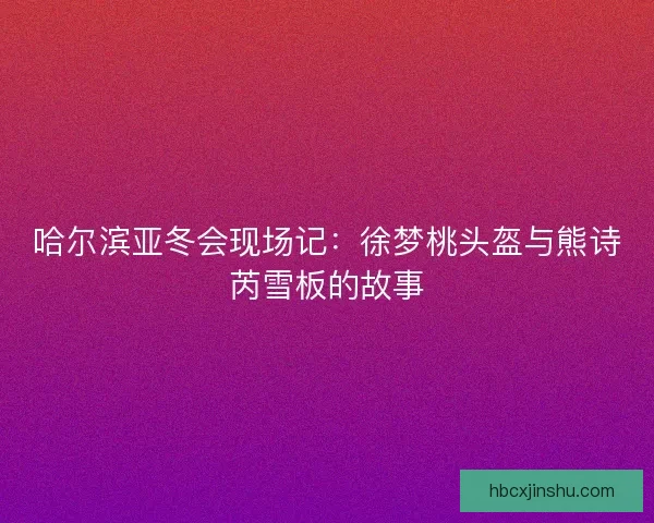 哈尔滨亚冬会现场记：徐梦桃头盔与熊诗芮雪板的故事