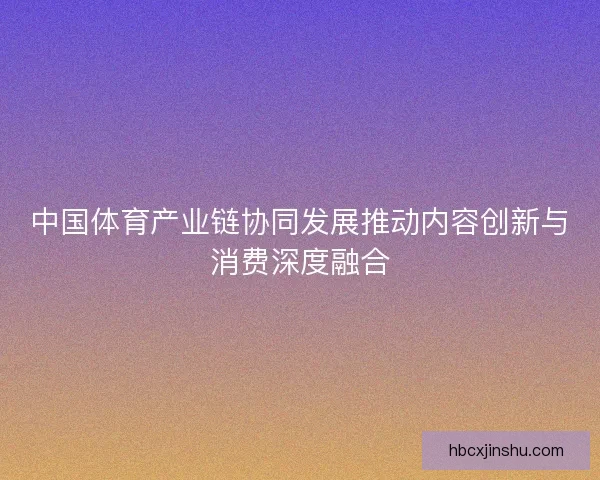 中国体育产业链协同发展推动内容创新与消费深度融合