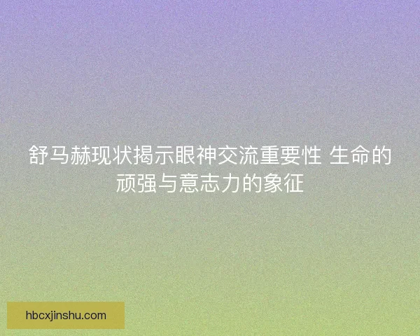 舒马赫现状揭示眼神交流重要性 生命的顽强与意志力的象征